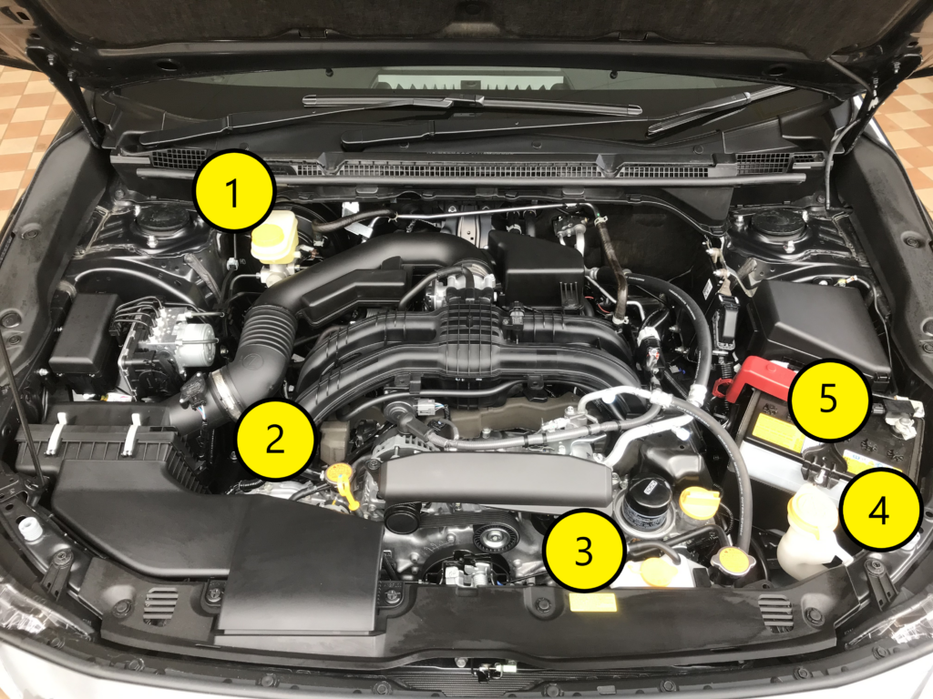お家で出来るクルマのメンテナンス Step１エンジンルームを覗いてみよう 広島スバル株式会社