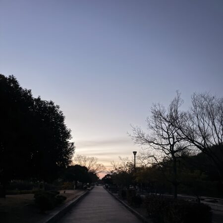 宮本の朝活ウォーキングから気づいたこと 〜人もクルマも「備え」があると安心〜