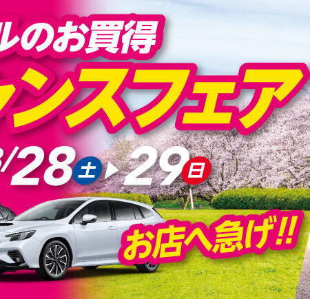 今年度ラストフェア開催🌸