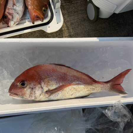 海の恵み！！