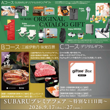 ～特別な11日間🎁～